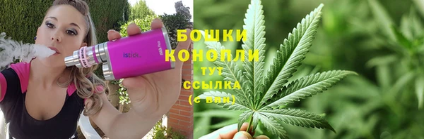 ПСИЛОЦИБИНОВЫЕ ГРИБЫ Медногорск
