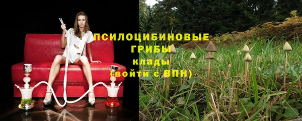 ПСИЛОЦИБИНОВЫЕ ГРИБЫ Медногорск