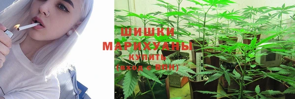 ПСИЛОЦИБИНОВЫЕ ГРИБЫ Медногорск