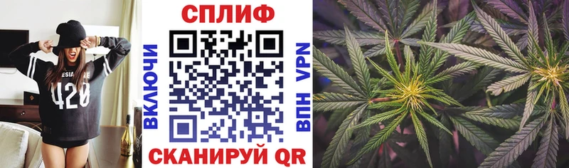 Купить закладки Ногинск Марихуана тримм